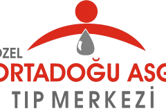 logo2